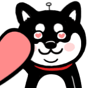 003