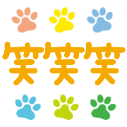 019