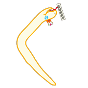 008