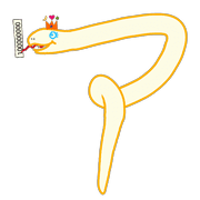 081