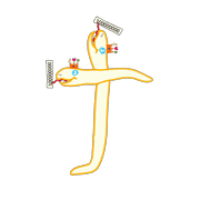 207