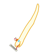 247