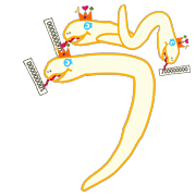 266
