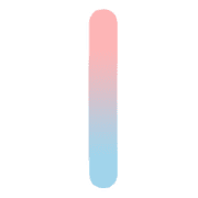 081
