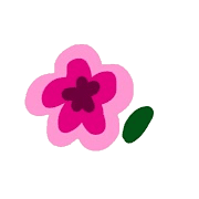 006