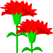 010
