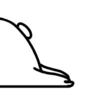 005