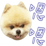 004