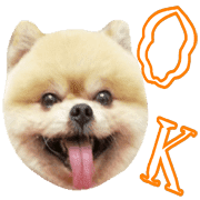 006