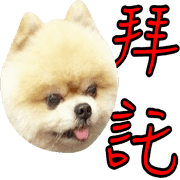 009