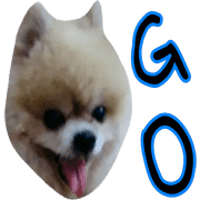 040