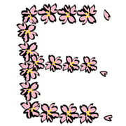 005