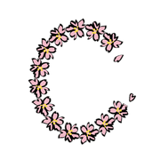 029