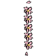 081