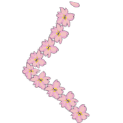 008