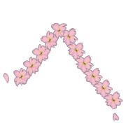 029