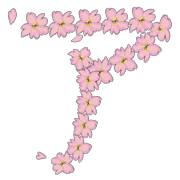 081