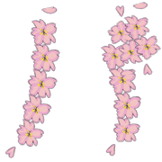 151