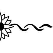 004