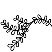 031