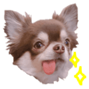 005
