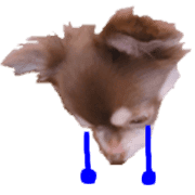 009