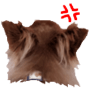 011