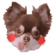 013