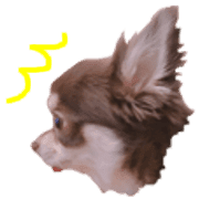 017