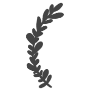 011