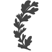 013