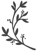 036