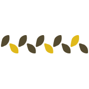 019