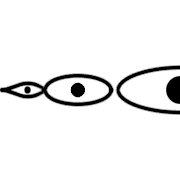 003