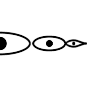004