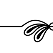 008