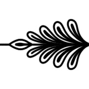 016