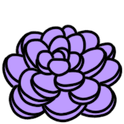 027