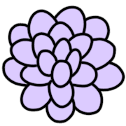 029