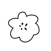 019