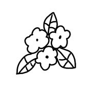 039