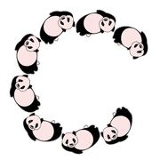 003