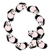 017