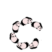 029
