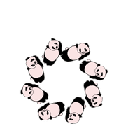 041