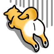 021
