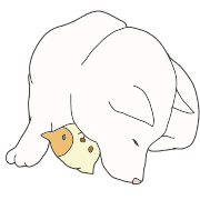 013