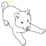030