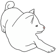 031