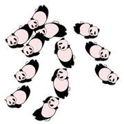 006